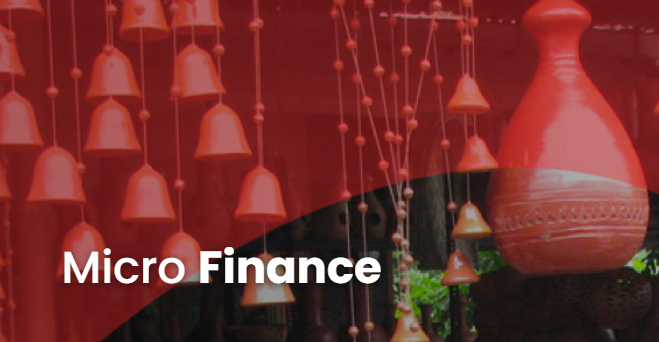 Nation Lanka Finance PLC Micro Finance Fixed Deposit